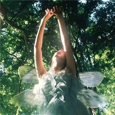 黑林城堡之犬国语